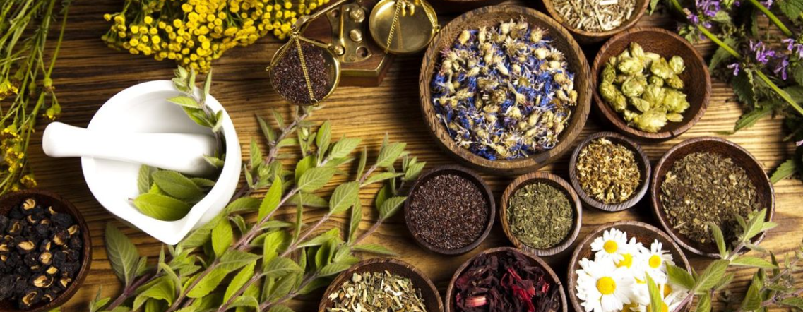 About Herbal Sangam